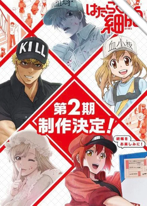 Робота клітин 2